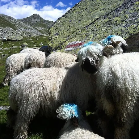 Feriehus Alpenparadies Gampel-Bratsch