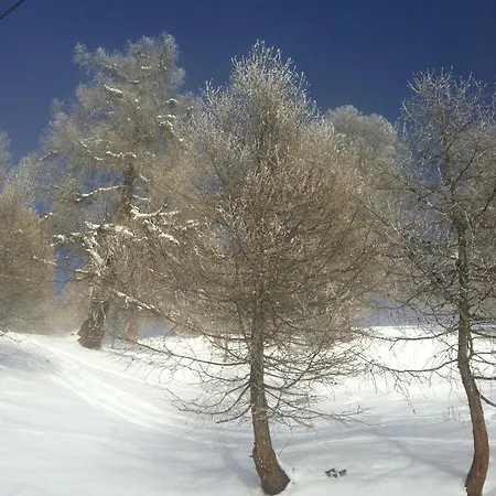 Alpenparadies Gampel-Bratsch