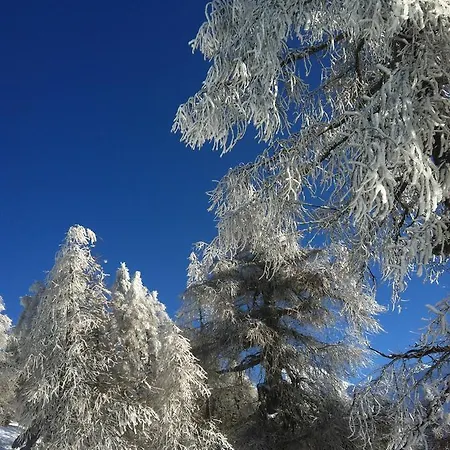 Casa de Férias Alpenparadies Gampel-Bratsch