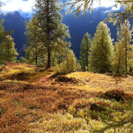 Casa de Férias Alpenparadies *