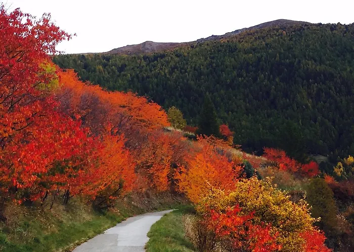 펜션 Alpenparadies *