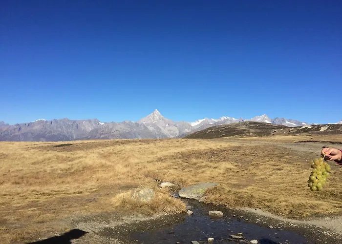 펜션 Alpenparadies *