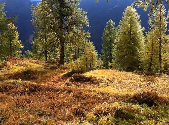 Holiday home Alpenparadies *