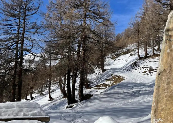 Alpenparadies Tatil Evi Gampel-Bratsch