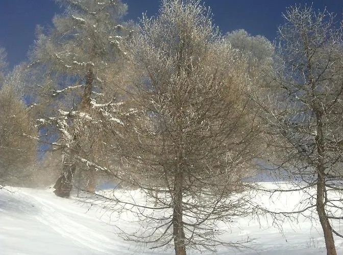 Alpenparadies Gampel-Bratsch