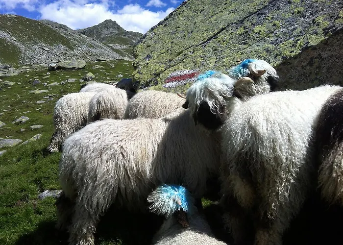 בית נופש Alpenparadies Gampel-Bratsch