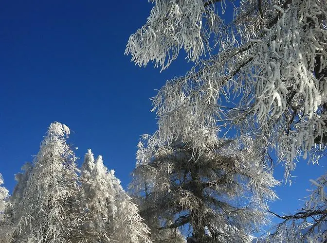 בית נופש Alpenparadies Gampel-Bratsch